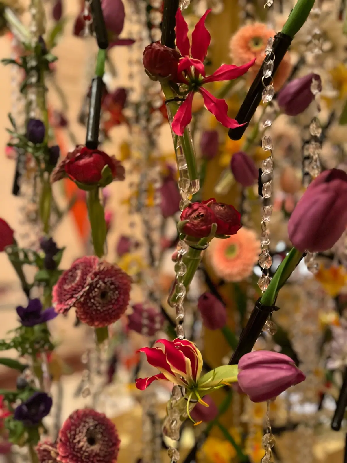 456bc2a6-8e57-4d46-8087-2061d25a7b66